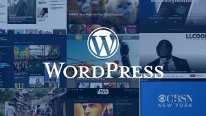 بهترین سایت های وردپرسی