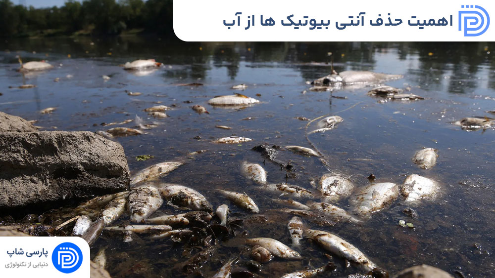 اهمیت حذف آنتی بیوتیک ها از آب های آلوده