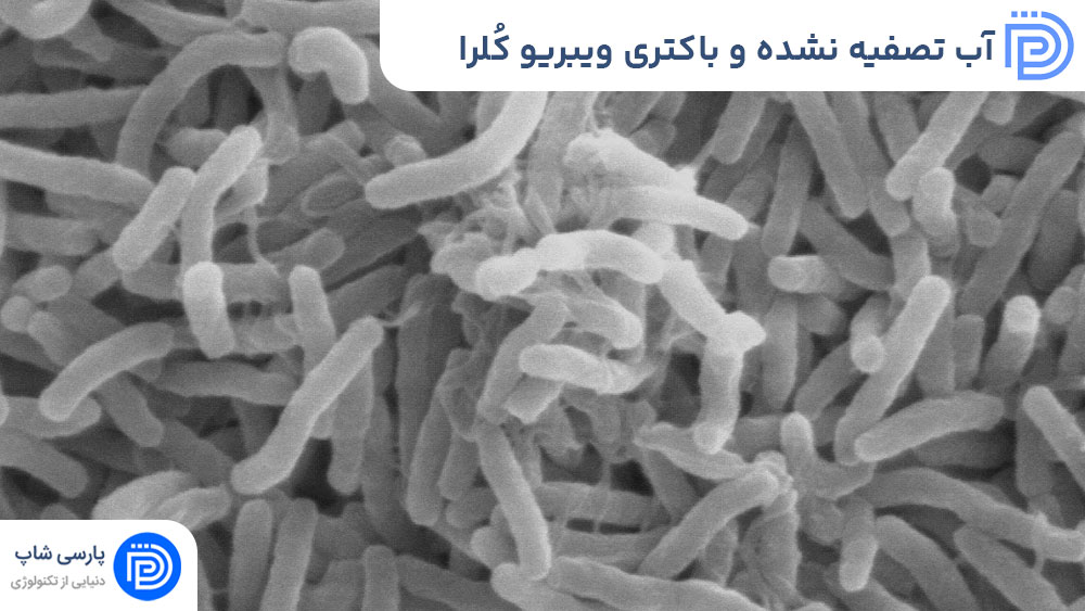 آب تصفیه نشده و باکتری ویبریو کُلرا | خطرات و راه‌های پیشگیری
